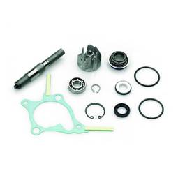 KIT REV.POMPA ACQUA HONDA FORESIGHT 250 4T